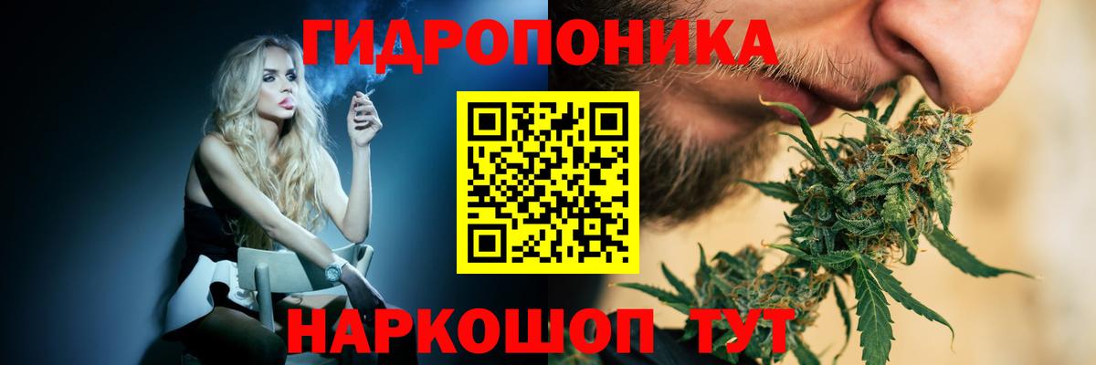 Каннабис конопля Гудермес